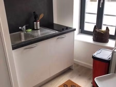 ecully duplex t1 meublé avec parking