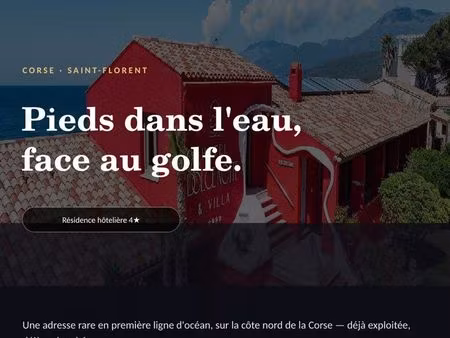 studio corse - haute rentabilité