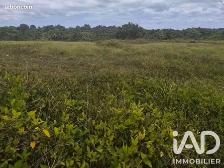 terrain 10000 m² baie-mahault