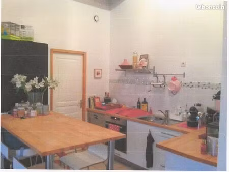 appartement t3 lyon