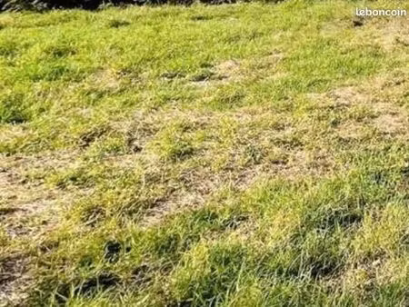 saisissez l'opportunité de concrétiser votre projet immobilier