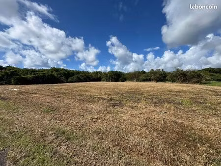 terrain 600m2
