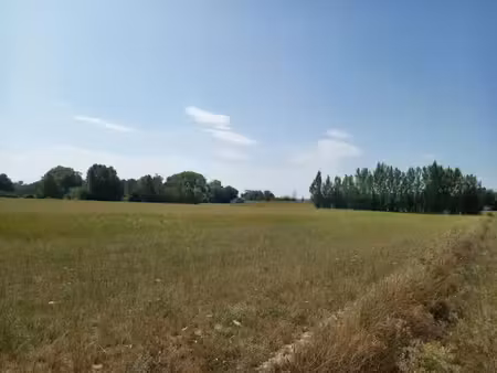vente terrain 607 m² à saint-lieux-lès-lavaur (81500)  73 000 €