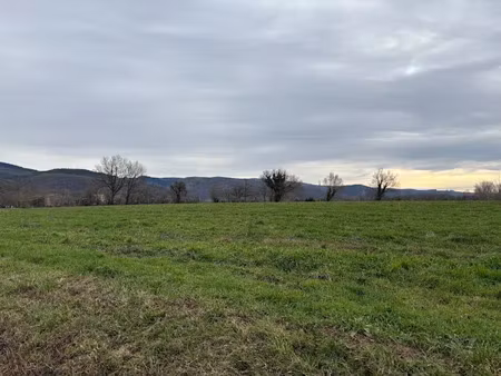 vente terrain 1087 m² à verdalle (81110)  55 000 €