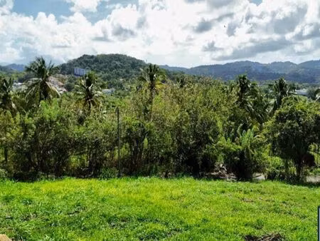 beau terrain à ducos_affaire à saisir