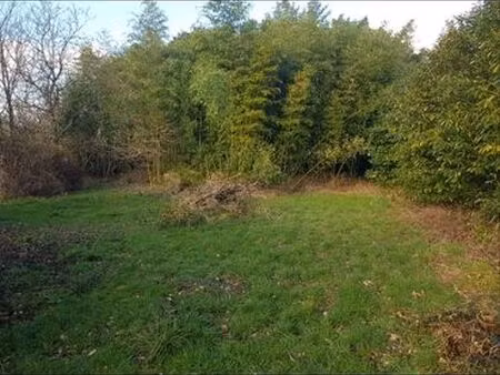 terrain de loisirs
