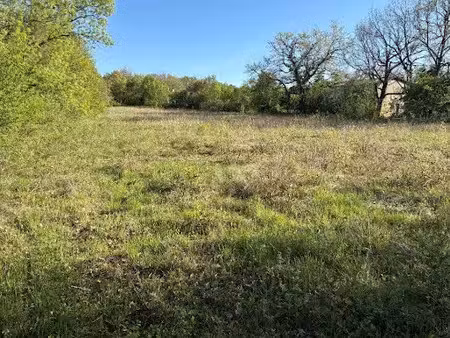 vente terrain 1014 m² à saix (81710)  75 000 €