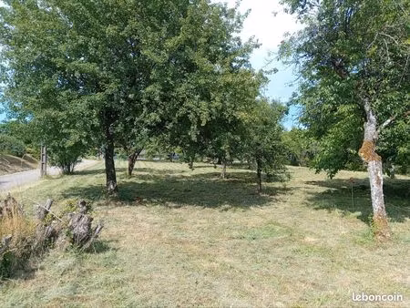 terrain constructible