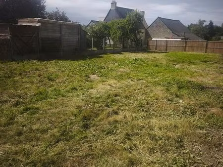 terrain constructible
