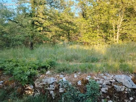 terrain agricole 3 5ha bois et prairies