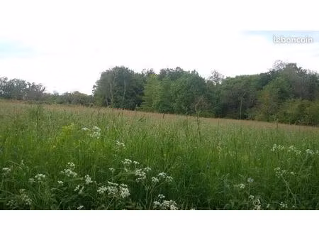 terrain 3 700 m² saint jean d ataux