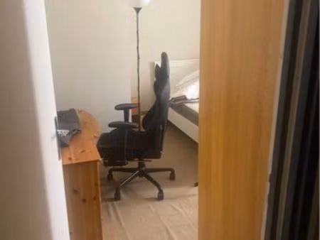 appartement f2 location juillet