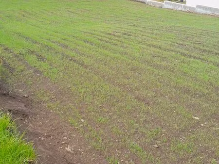 terrain constructible viabilisé