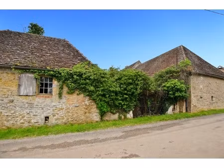 propriété de 98 m2 à rénover avec 3401 m2 de terrain à couches (71)