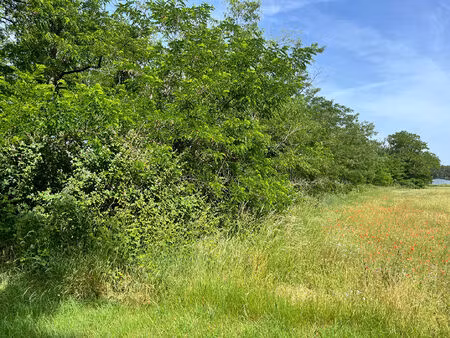 terrain de loisirs 5874 m² - chateauneuf sur loire