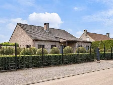 maison à vendre à nijlen € 675.000 (lprlt) - berlaar | zimmo