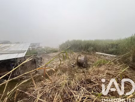 vente terrain 850 m² à les avirons (97425)  187 000 €
