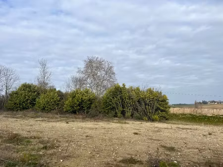 vente terrain 1007 m² à quint-fonsegrives (31130)  179 900 €