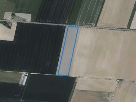 terre agricole libre d'occupation