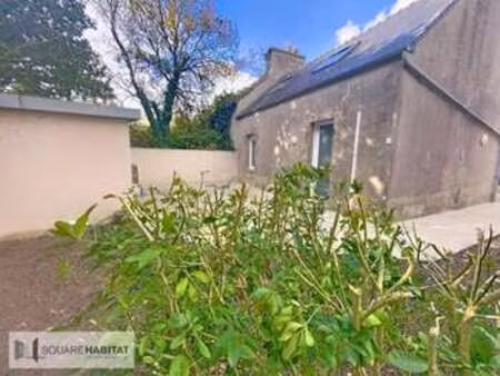 location maison à plouguin (29830) : à louer / 49m² plouguin