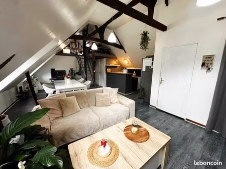 grand t2 avec mezzanine - 55m2 - plein centre