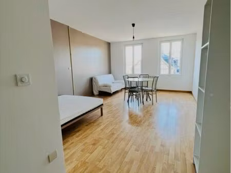 a louer appartement f1 lumineux