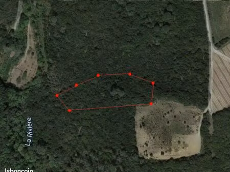 foret faugeres - accessible et jolie vue