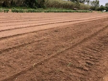 terrain agricole