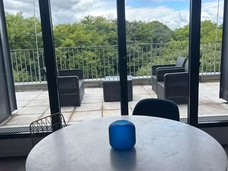 t3 63m2 - terrasse - parking et cellier