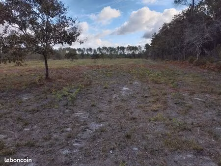 terrain naturel de 4 000 m²