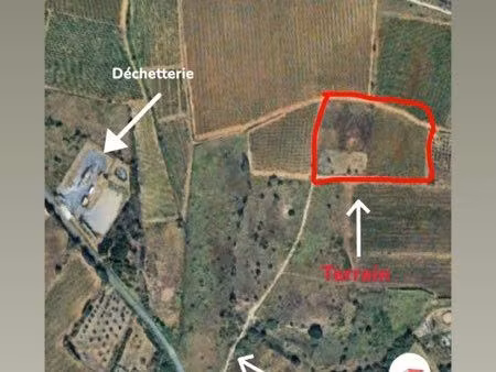 terrain agricole