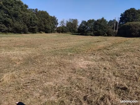 terrain agricole