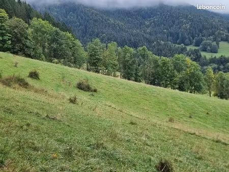petite étable et terrain
