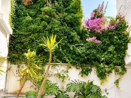 t2 de 41m2 jardin des plantes