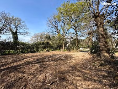 terrain 1233 m² guemene-penfao