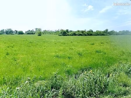 terre agricole alluviale presque 18 hectare