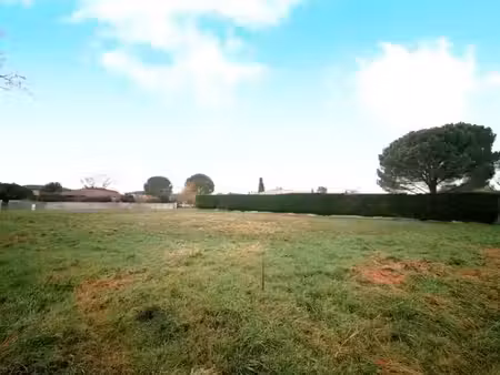 vente terrain 1247 m² à la salvetat-saint-gilles (31880)  238 500 €