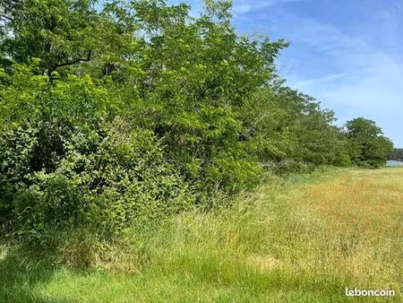 terrain 5 874 m² chateauneuf sur loire