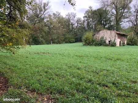 terrain avec maison en ruine