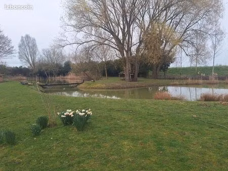 terrain de loisir avec etang