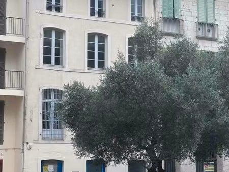 local commercial – emplacement en centre-ville de dax