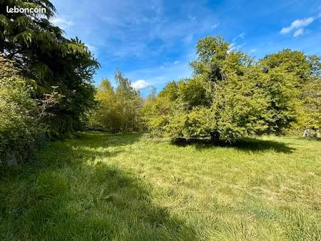 superbe terrain constructible  au calme absolu  en lisière de forêt ?