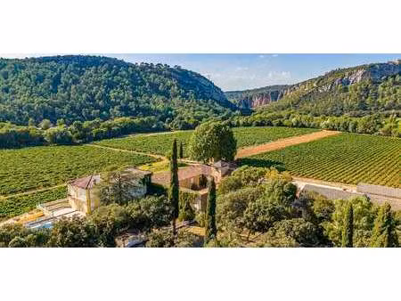 vignoble le luc (83)