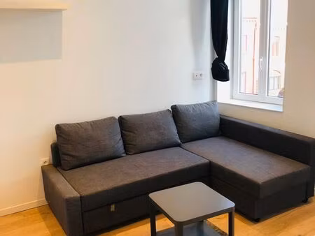 charmant studio meublé lumineux et cosy de 20m² refait à neuf