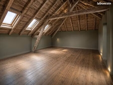 combles aménageables 60m² - centre ville