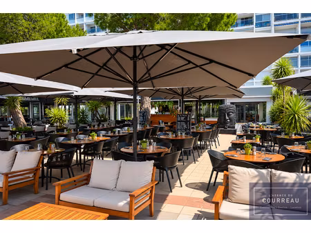 vente locaux professionnels 0 pièces 292 m² à mauguio (34130)  524 000 €