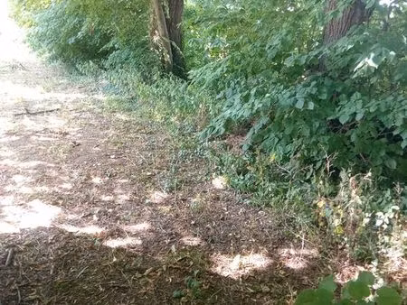 recherche terrain à bâtir proche clermont 60600