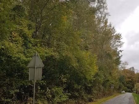 vends parcelles boisées