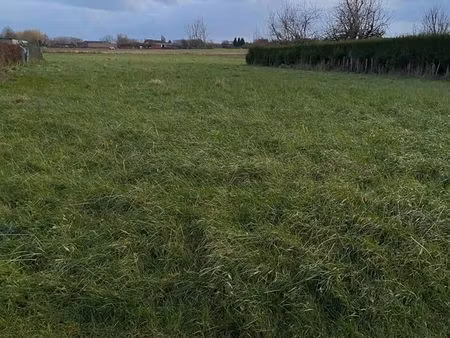 grand terrain constructible