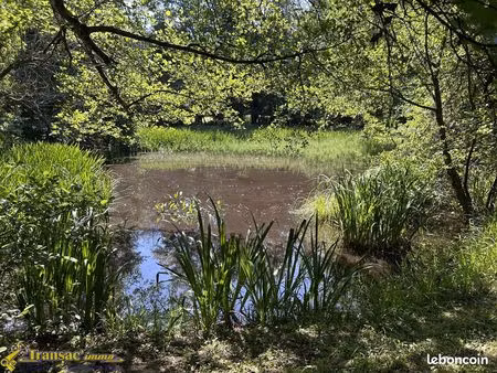 terrain 3670 m² paslières